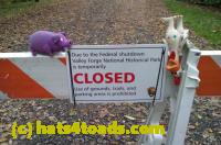 /home//u458753944/public_html/sourcegallery////////////Chickens/Valley Forge/IMAG0086.jpg